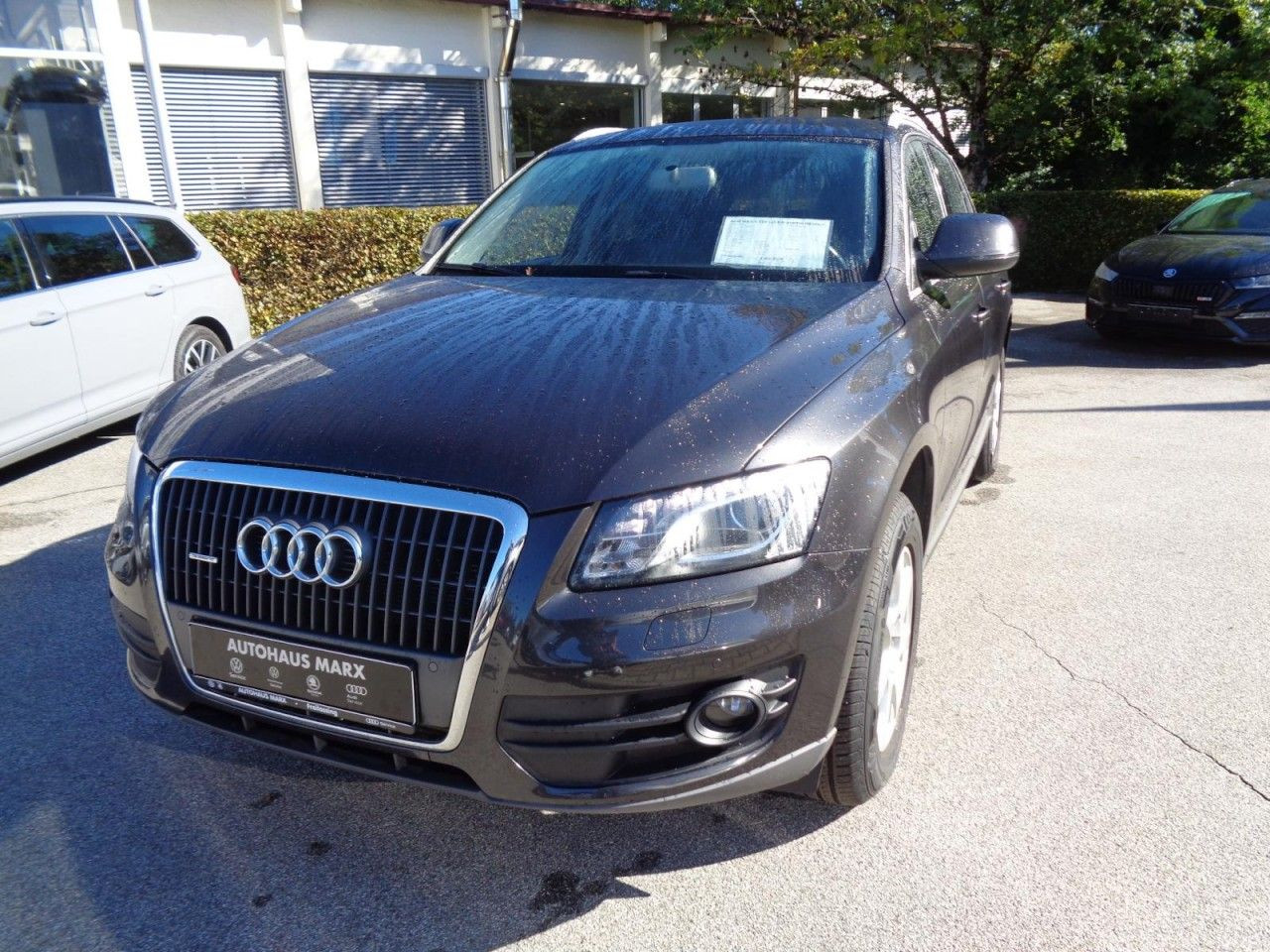 Q5 2.0 TDI 125 kW quattro Händler/ Export