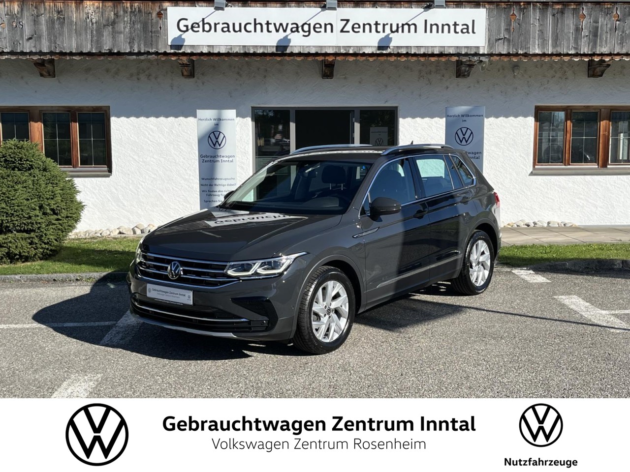 Tiguan 2,0 TDI DSG Elegance (IQLight+Standhzg.)